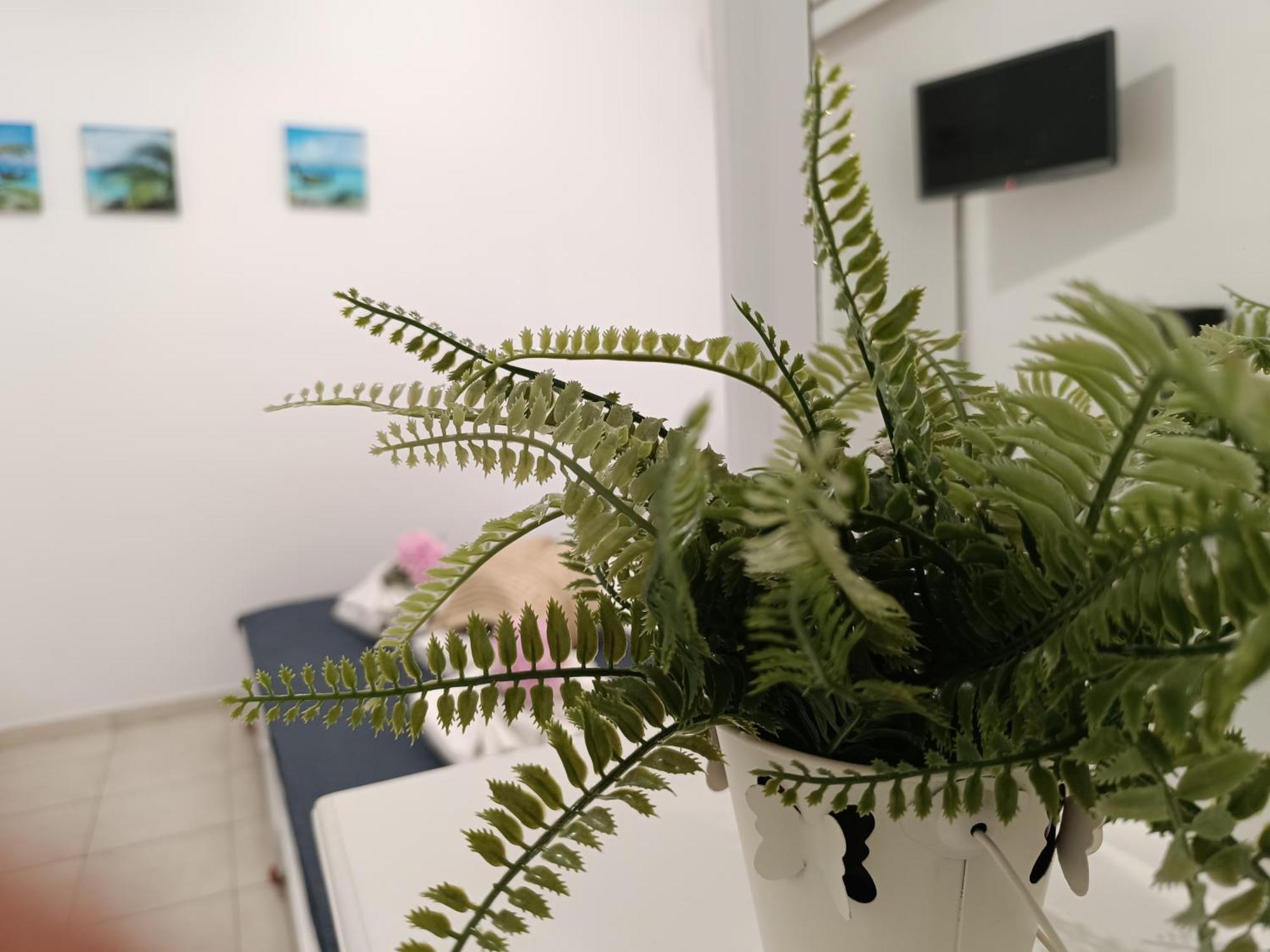 Apartment Nautilus & *